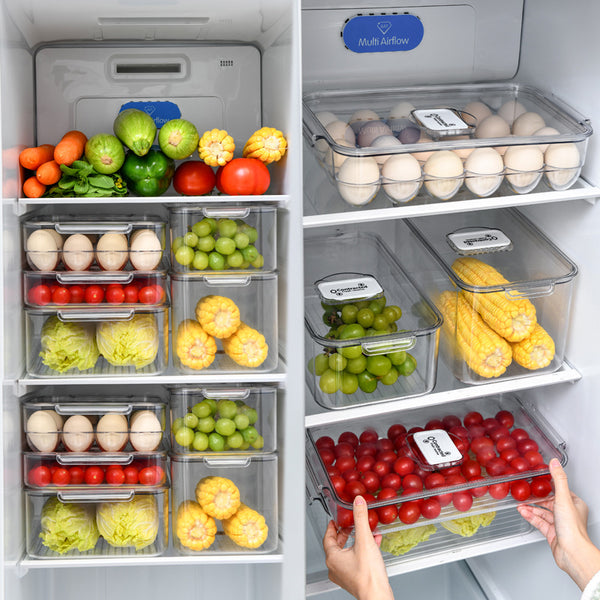 Refrigerator Storage Box